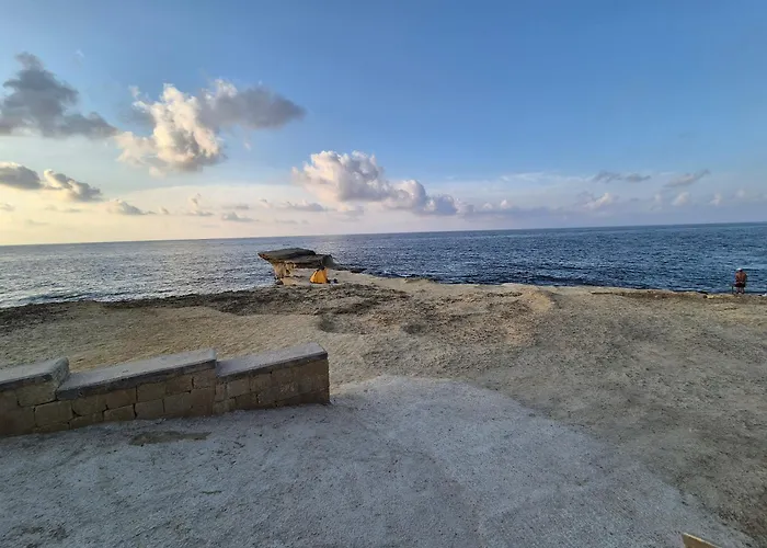 Barracuda
